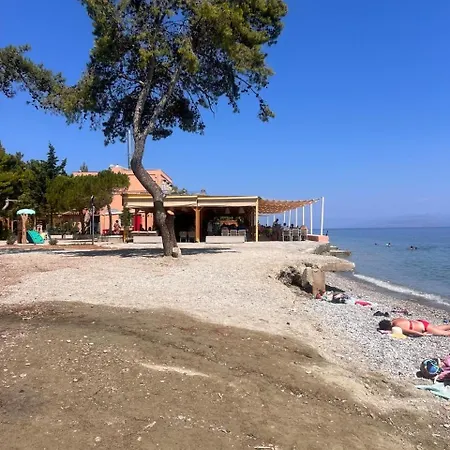 דירה Seaside 2-bedroom In קסילוקסטרו