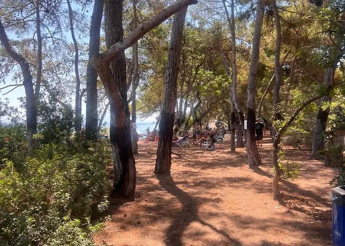 Seaside 2-bedroom In Xylokastro